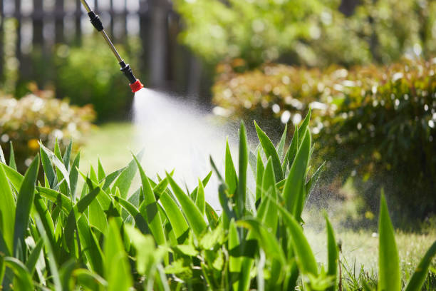 Tamper-Resistant Bait Stations for Rodents in Kutztown
