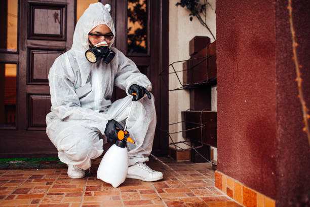 Attic and Crawl Space Rodent Treatment in Kutztown