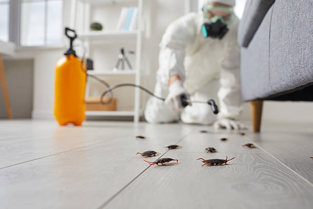 Commercial Rodent Management in Kutztown